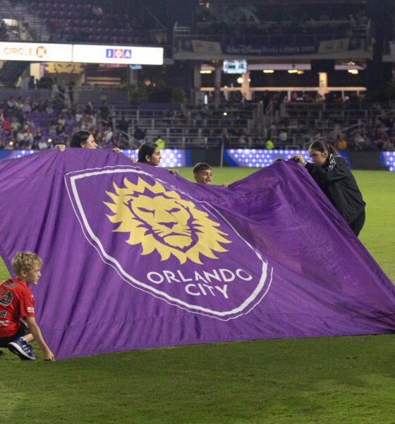 Image of the Orlando City flag.