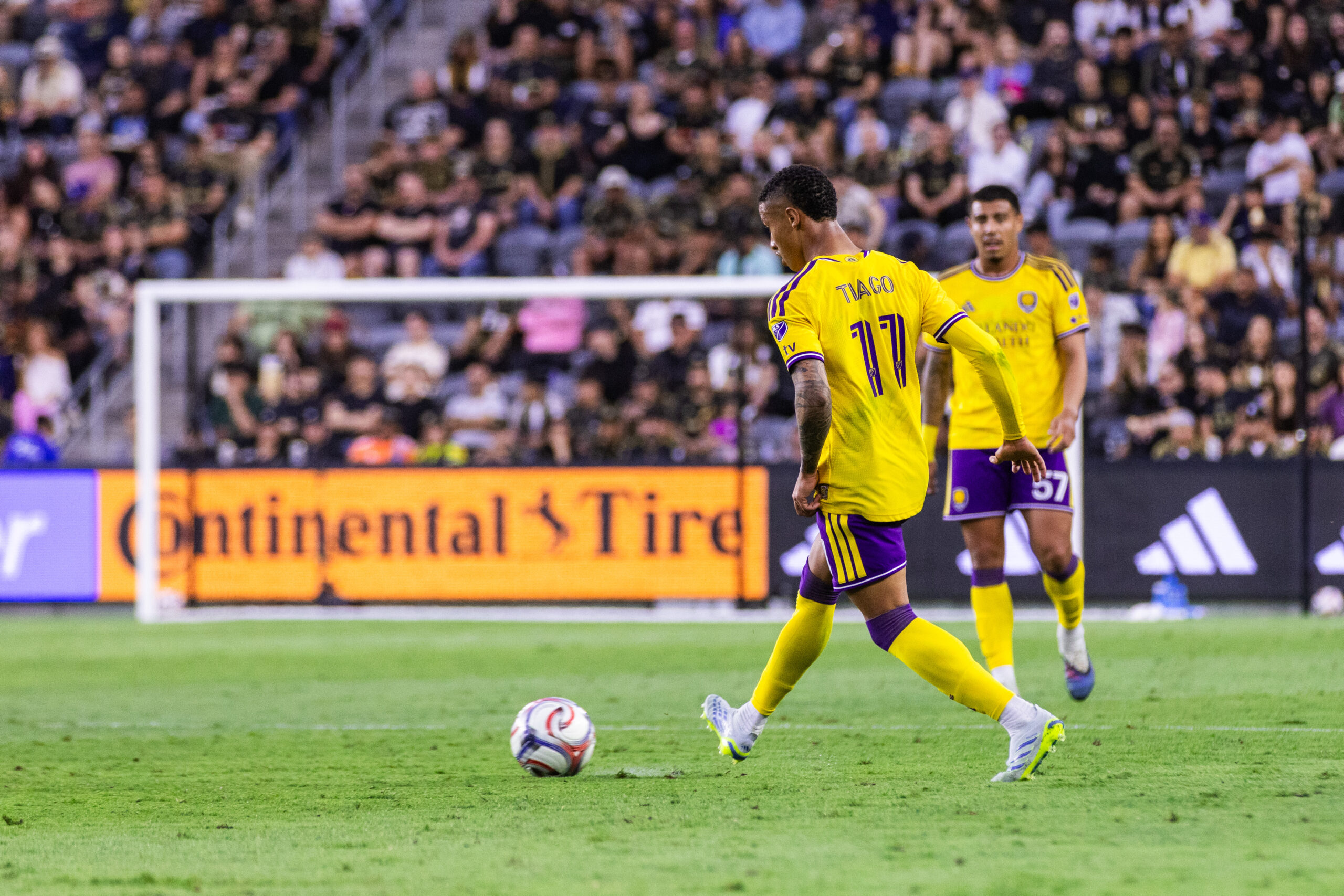 Image of TIago playing the ball with Iago looking on in the background.